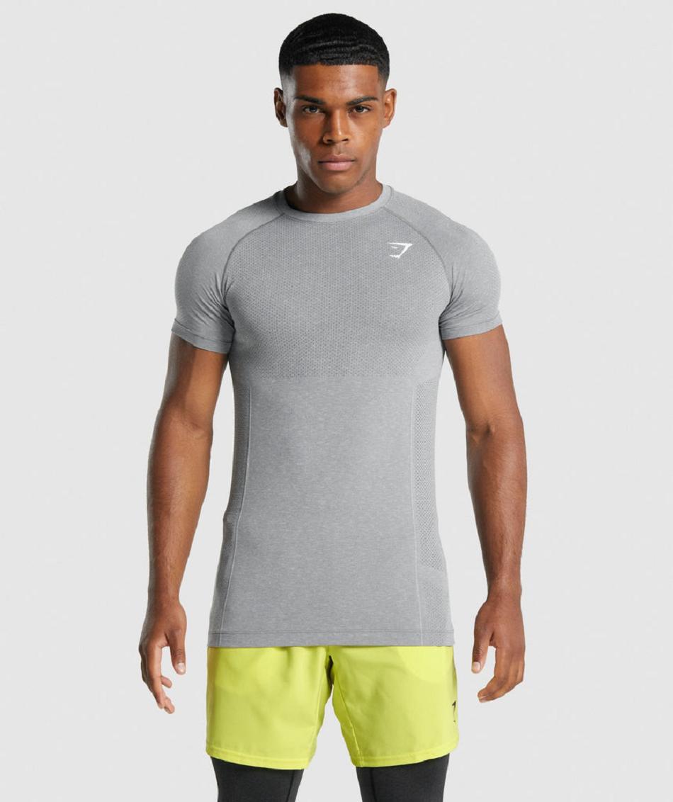 T Shirts Męskie Gymshark Vital Light Seamless Szare | PL 3892DFM